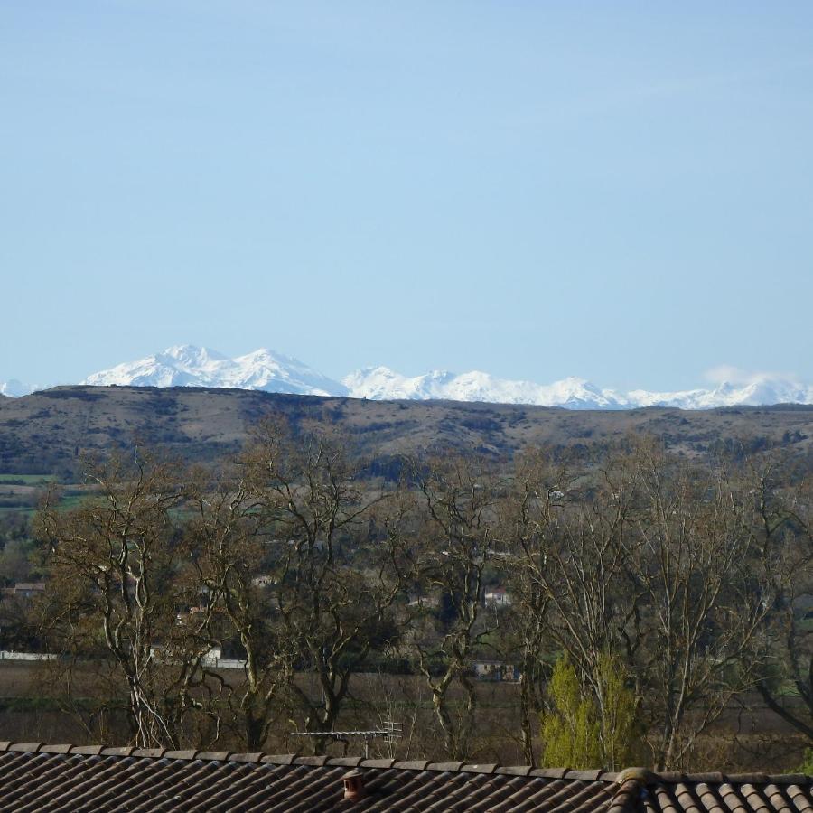 L'Oustal Des Fontanilles Castelnaudary Exterior foto